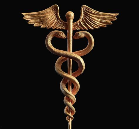 caduceu de hermes|caduceus hermes staff vs medical.